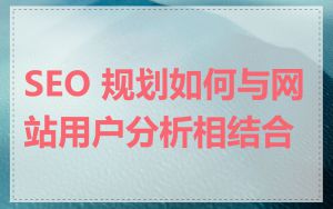 SEO 规划如何与网站用户分析相结合