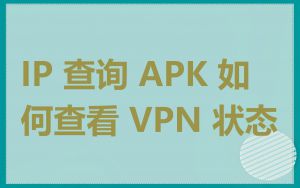 IP 查询 APK 如何查看 VPN 状态