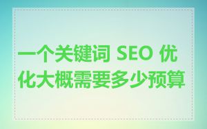 一个关键词 SEO 优化大概需要多少预算
