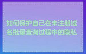 如何保护自己在未注册域名批量查询过程中的隐私