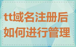 tt域名注册后如何进行管理