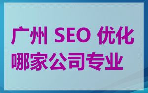 广州 SEO 优化哪家公司专业