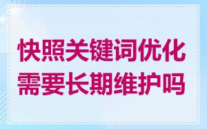 快照关键词优化需要长期维护吗
