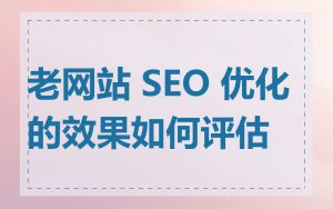老网站 SEO 优化的效果如何评估