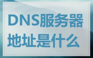 DNS服务器地址是什么