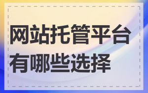 网站托管平台有哪些选择
