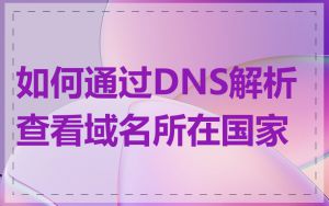 如何通过DNS解析查看域名所在国家