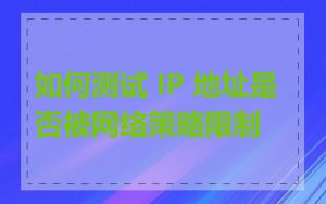 如何测试 IP 地址是否被网络策略限制