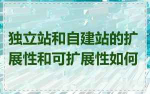 独立站和自建站的扩展性和可扩展性如何