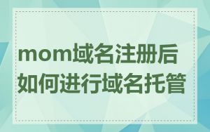 mom域名注册后如何进行域名托管