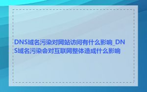 DNS域名污染对网站访问有什么影响_DNS域名污染会对互联网整体造成什么影响