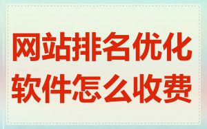 网站排名优化软件怎么收费