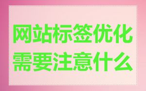 网站标签优化需要注意什么