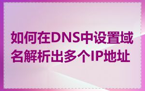如何在DNS中设置域名解析出多个IP地址