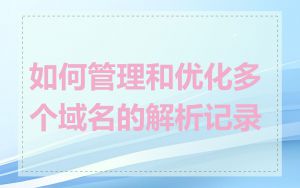 如何管理和优化多个域名的解析记录