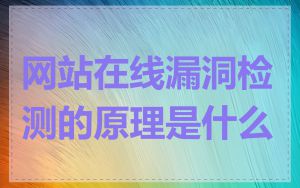 网站在线漏洞检测的原理是什么