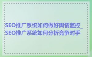 SEO推广系统如何做好舆情监控_SEO推广系统如何分析竞争对手