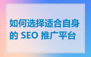 如何选择适合自身的 SEO 推广平台