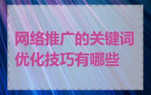 网络推广的关键词优化技巧有哪些