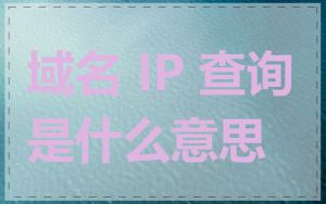 域名 IP 查询是什么意思