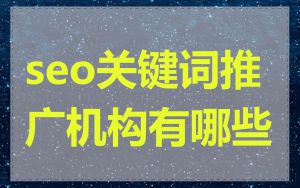 seo关键词推广机构有哪些