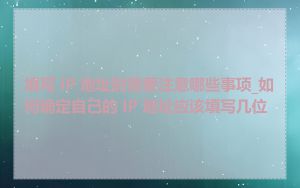 填写 IP 地址时需要注意哪些事项_如何确定自己的 IP 地址应该填写几位