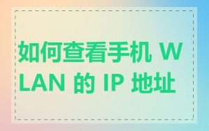 如何查看手机 WLAN 的 IP 地址