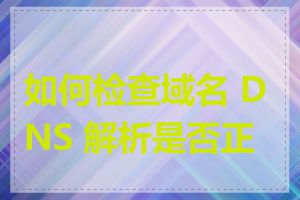 如何检查域名 DNS 解析是否正确