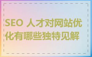 SEO 人才对网站优化有哪些独特见解