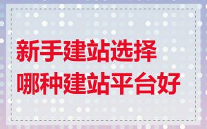 新手建站选择哪种建站平台好