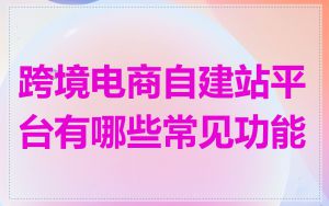 跨境电商自建站平台有哪些常见功能