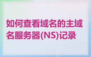 如何查看域名的主域名服务器(NS)记录