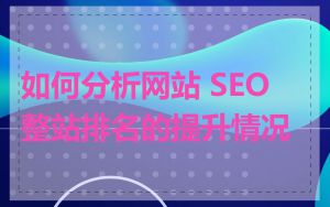 如何分析网站 SEO 整站排名的提升情况