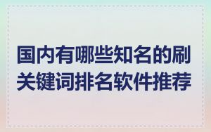 国内有哪些知名的刷关键词排名软件推荐