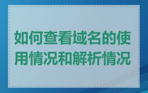 如何查看域名的使用情况和解析情况