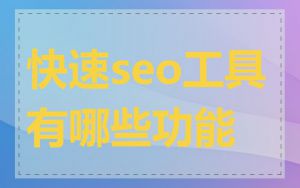 快速seo工具有哪些功能