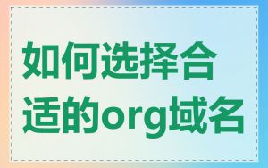 如何选择合适的org域名
