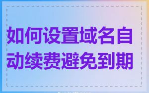 如何设置域名自动续费避免到期
