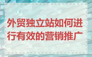 外贸独立站如何进行有效的营销推广