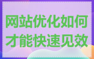 网站优化如何才能快速见效
