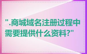 ".商城域名注册过程中需要提供什么资料?"