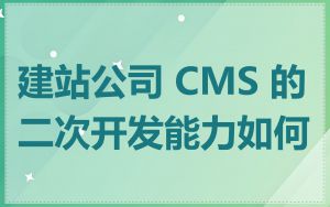 建站公司 CMS 的二次开发能力如何