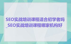 SEO实战培训课程适合初学者吗_SEO实战培训课程哪家机构好