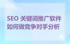 SEO 关键词推广软件如何做竞争对手分析