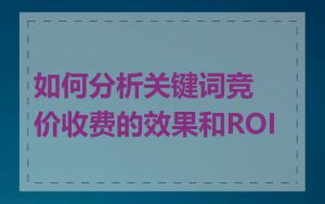 如何分析关键词竞价收费的效果和ROI