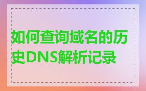 如何查询域名的历史DNS解析记录