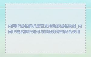 内网IP域名解析是否支持动态域名映射_内网IP域名解析如何与微服务架构配合使用
