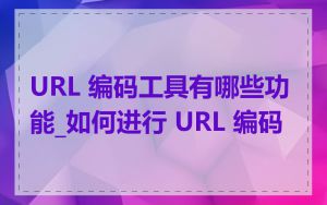 URL 编码工具有哪些功能_如何进行 URL 编码
