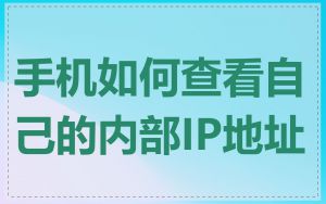 手机如何查看自己的内部IP地址