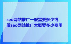 seo网站推广一般需要多少钱_做seo网站推广大概要多少费用